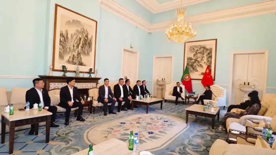 迅鐳激光董事長顏章健率隊赴歐洲進(jìn)行商務(wù)考察（三）(圖3)